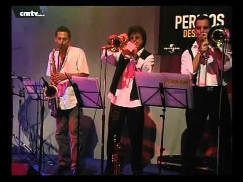 Los Pericos video Desde cero - CM Vivo 2002