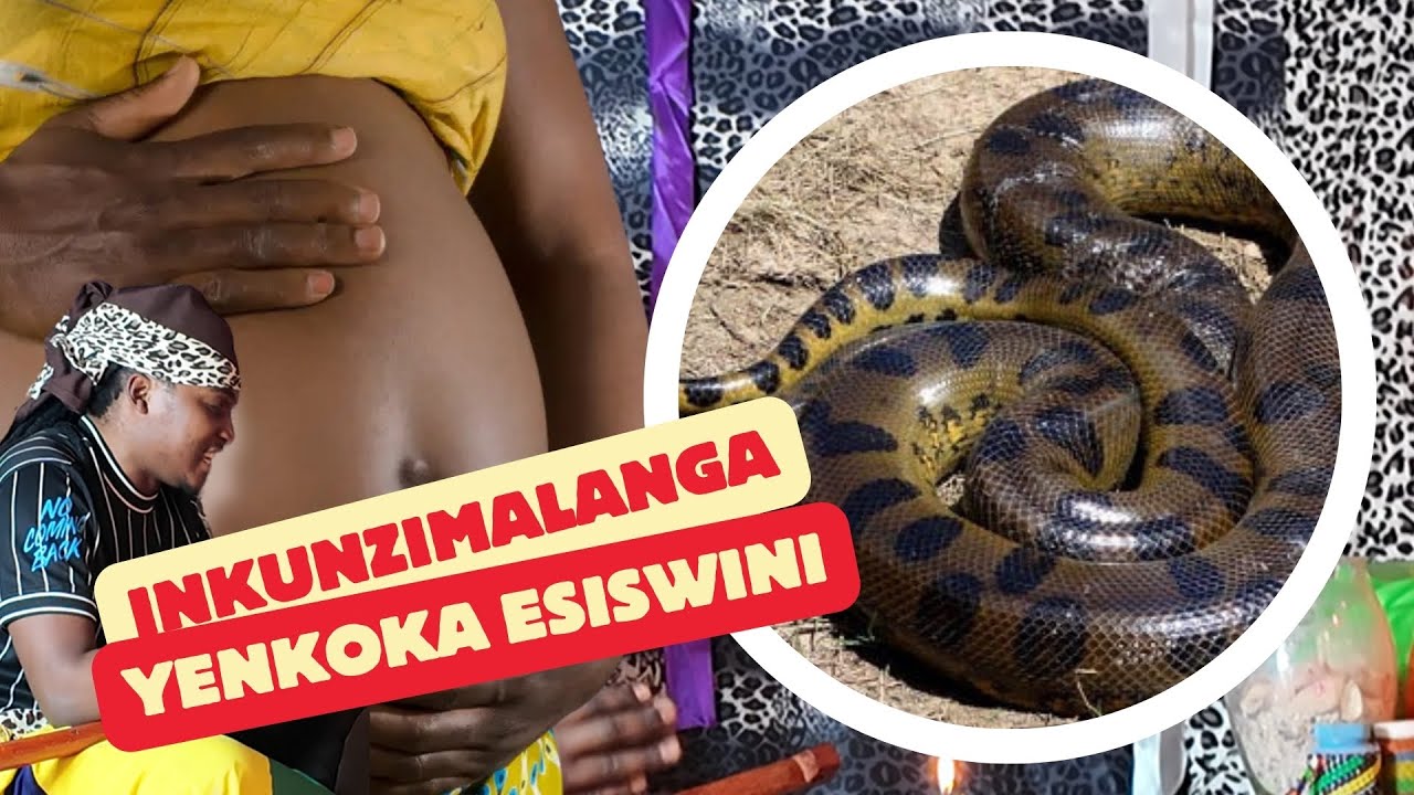 YouTube Thumbnail Downloader FULL HQ IMAGE