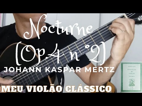 Pinto - Villazul