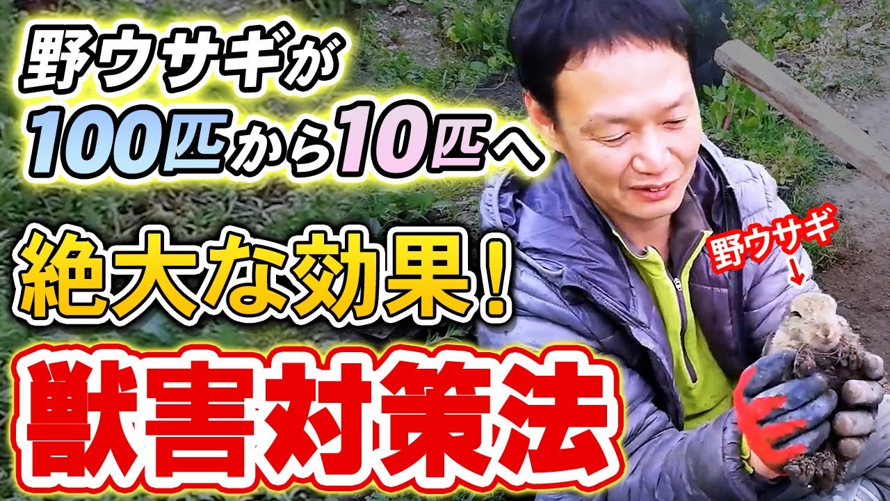 動物と戦わず調和する獣害対策