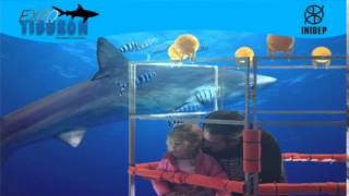 DIA 2 Expo Tiburon72