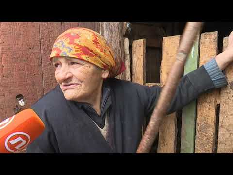 STARICA KOJA JE HRANILA EDINA GAČIĆA - NOVA BH TV