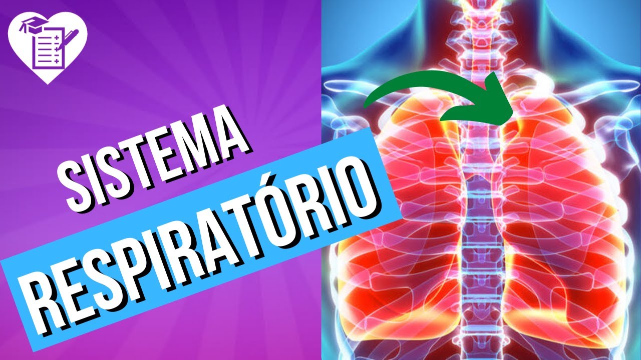 SISTEMA RESPIRATÓRIO: Resumo com Tudo o que Você Precisa