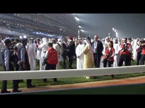 Gentildonna, Dubai Sheema Classic 2013 vol.1
