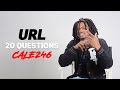 20 Questions Cale246 URL