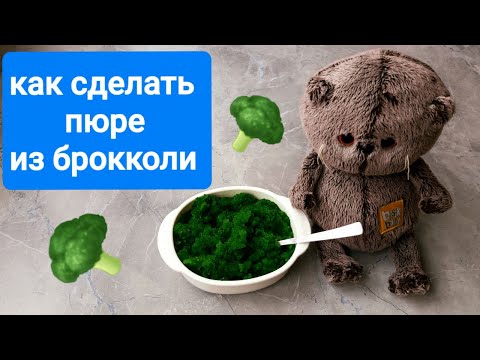 Пюре из брокколи для басика своими руками!