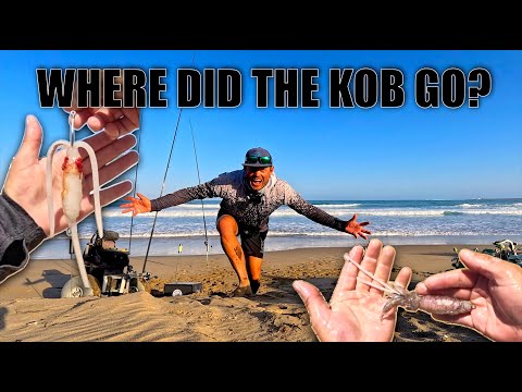 FISHING FOR KOB! I MADE A VARIETY OF BAIT PRESENTATIONS TO TRY AND ENTICE A KOB! LONG, HARD DAY!
