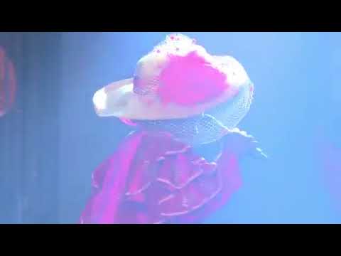 Bola Are Ministration At 76 Hours Marathon Messiah's Praise