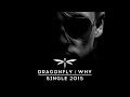Dragonfly - Why (single, 2015) 