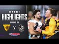 Hawthorn v Collingwood Highlights | Round 21, 2023 | AFL