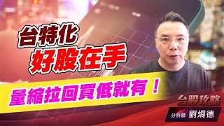 台特化好股在手，量縮拉回買低就有！｜台股攻略｜劉烱德 (圖)