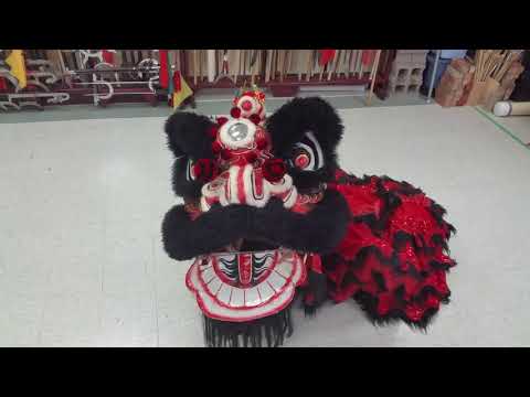 Lion Dance Introduction - KungFuRegina