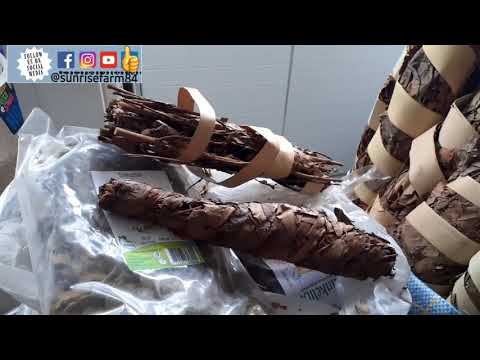 SENEGALISE KINKELIBA LEAVES