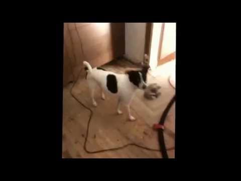 Somerville Kitchen Renovation Update