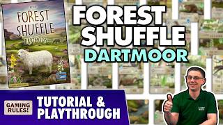 Unknown Channel - Forest Shuffle: Dartmoor video thumbnail