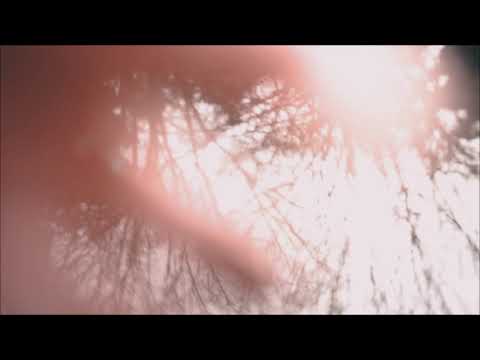 Loota - Love Sick feat. Tohji (Visualizer)