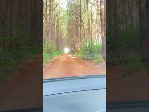 Puerto libertad Misiones Argentina