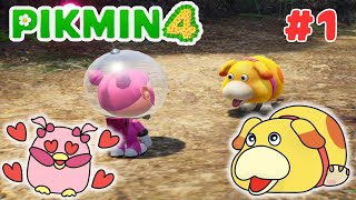 【ピクミン4】#1 オリマーさん救出！！オッチンとの出会い♪【フラぴー】