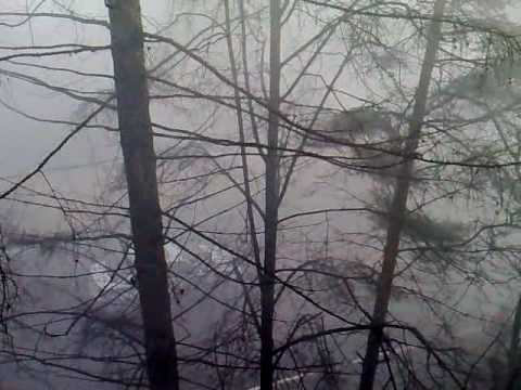 Футбольные фанаты.mp4