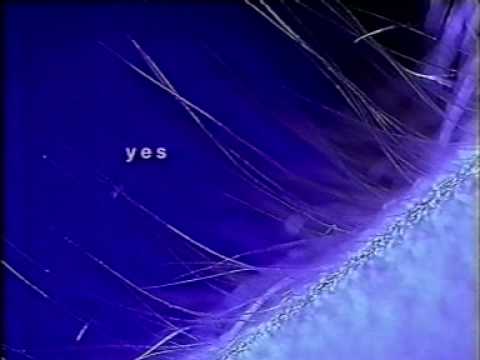 The Annual IV (Ministry Of Sound)