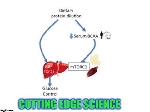 Protein Dilution: Metabolic Health Advantage!!!