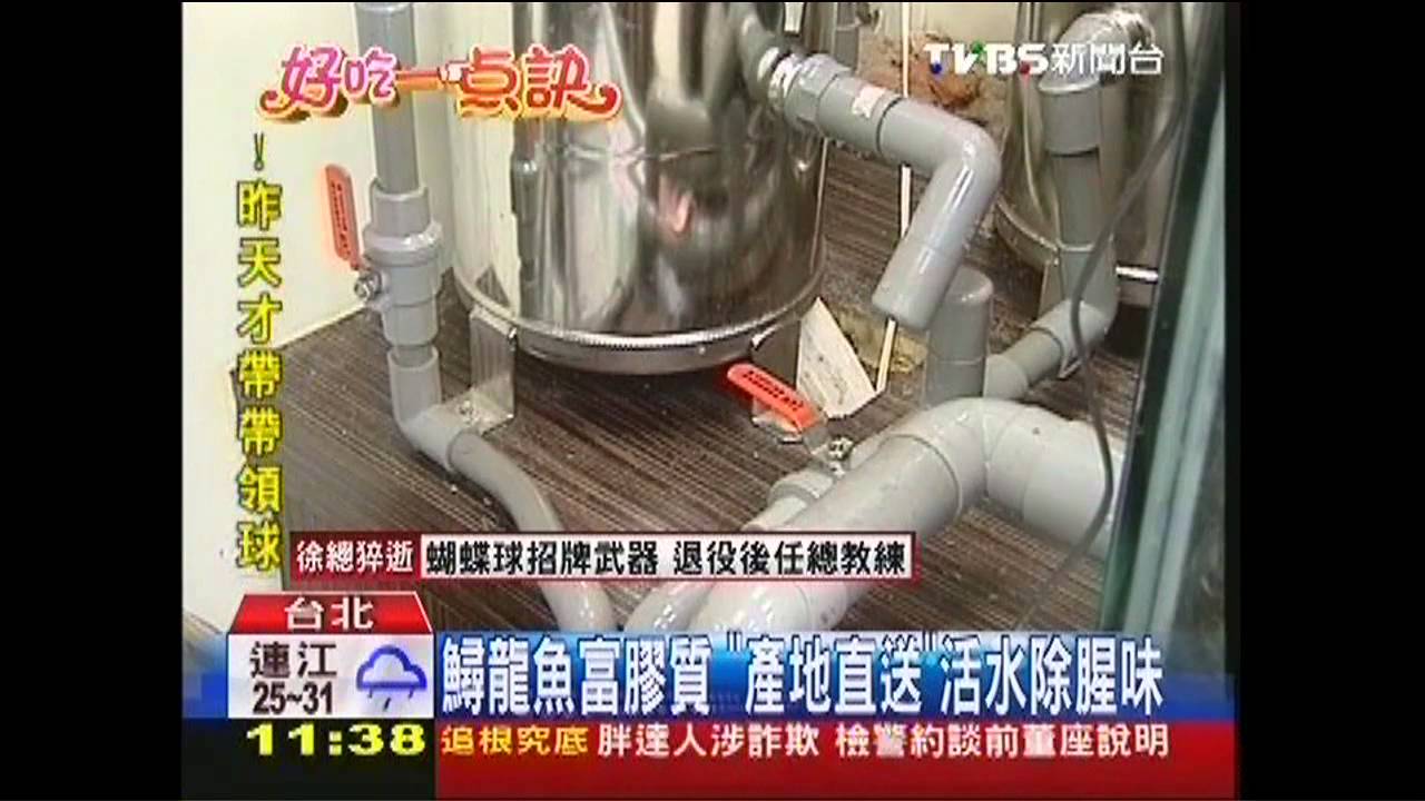 【好吃一點訣】鱘龍魚富膠質　「產地直送」活水除腥味