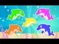 FINGER FAMILY With Colorful Dolphins The Dolphin Family Children S Songs