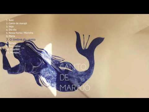 O Timbre Do Vento video