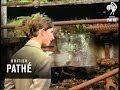 Selected Originals Prince Charles In Wales 1969