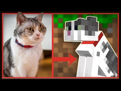 GoodTimesWithScar - My Cat Jellie Was Officially ADDED To Minecraft