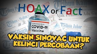 Vaksin Sinovac Hanya untuk Kelinci Percobaan? Simak Faktanya