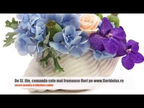 Flori pentru Sfantul Ilie, 20 iulie, comanda cele mai frumoase flori si cadouri online!