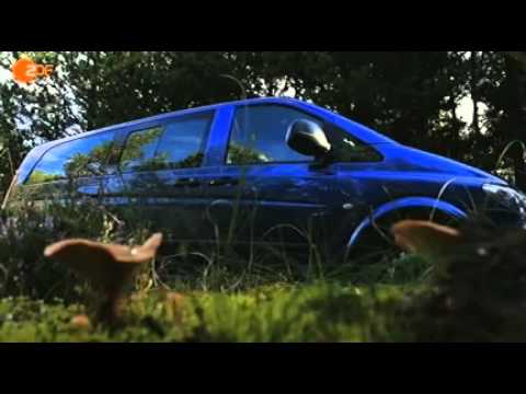 Der Schwarze Mann - Jagd nach dem Kindermörder von Dennis