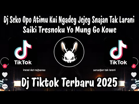 DJ SAIKI TRESNO KU YO MUNG GO KOWE - SEKO OPO ATIMU KUI NGADEG JEJEG SENAJAN TAK LARANI