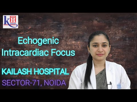 Awareness about Echogenic Intracardiac Focus by Dr. Shruti Jain | Kailash Hospital, Sector 71, Noida