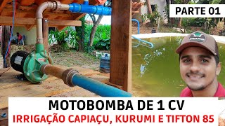 Irrigação para Plantar BRS CAPIAÇU, BRS KURUMI e TIFTON 85 (Poço/Cisterna/Motobomba) Parte 01