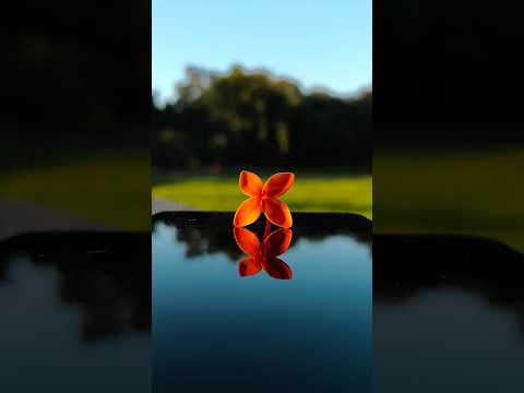 Try this Photography Idea with your phone 💡| Oppo Reno 10 Pro+ 5G | Easy Photography #youtubeshorts