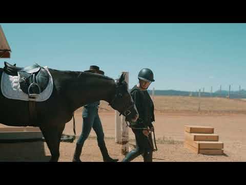 Happy's Dream Ranch at 12897 N Tonto Rd, Prescott, AZ