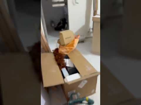 安和園 Youtube Video