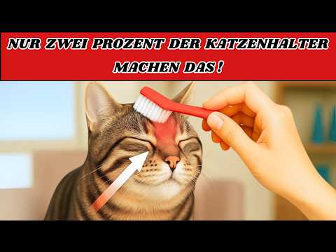 10 Dinge, die Katzen lieben – aber nur wenige der Halter wirklich tun!