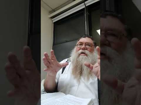 Practical Chasidus w R' Chaim Dalfin - V'Im Ruach HaMoishel 1924 #11 - Elevating the Sparks