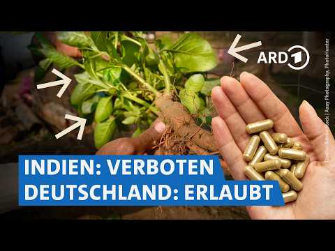 Video Thumbnail: Ashwagandha im Labortest: Gefährlicher Hype? | Markt WDR
