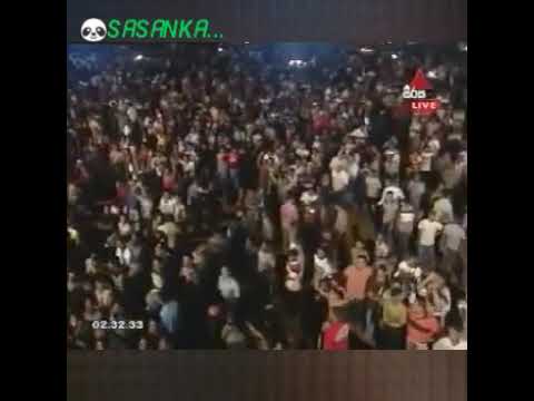 Old sunflower end nonstop .....