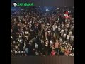 Old Sunflower End Nonstop