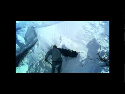 Deszapezire - Realitatea TV - Habitat for Humanity