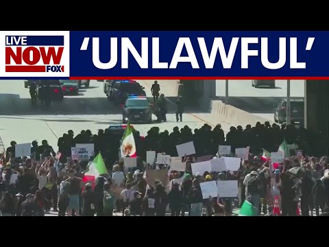 Video | WATCH: LA protesters block traffic on major freeway, LAPD declares unlawful assembly
