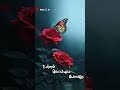 Ullam Kollai Poguthae Song Whatsapp Status Tamil Raja 90s