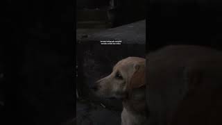 Download lagu STORY WA 30 DETIK 🔥II STORY WA KEREN TERBARU 2022 II STORY WA VIRAL TIKTOK mp3