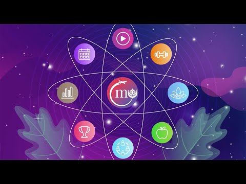 MyLifeWell video/presentation/materials