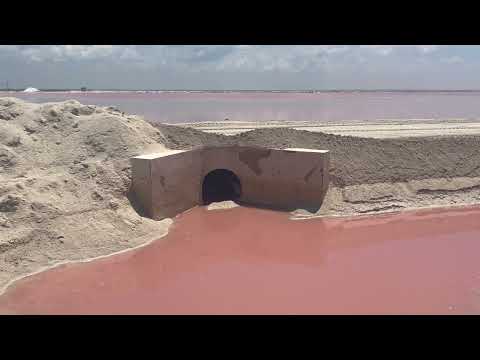 video frame placeholder